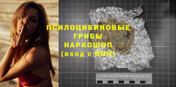 дмт Алексин