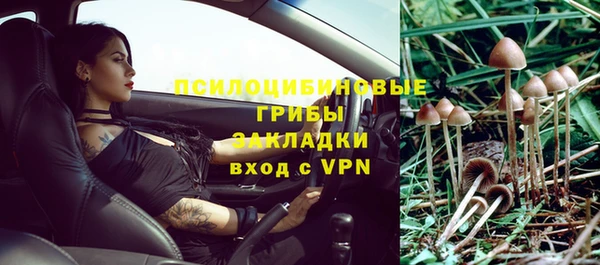 дмт Алексин