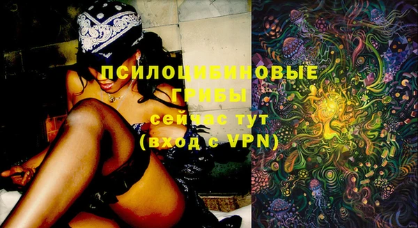 герыч Абинск